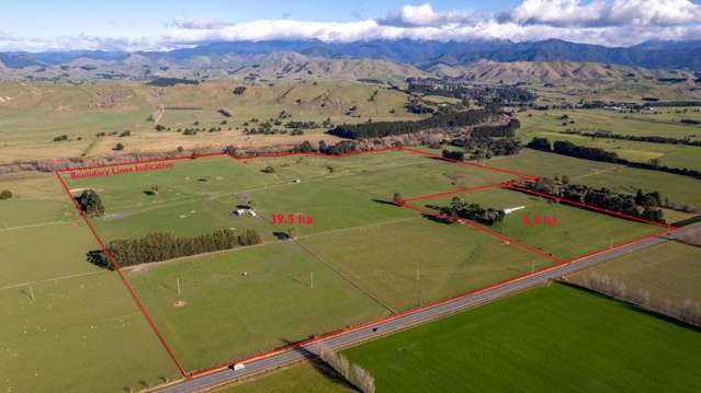 1007 State Highway 2 Masterton_1