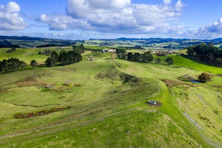 North Camp Road Waipu_12