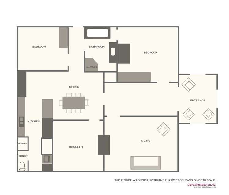 5 Mars Avenue Sandringham_13