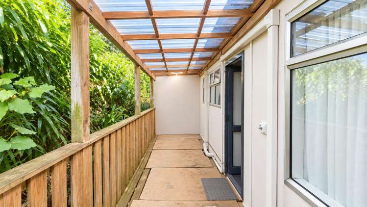 6/57 Carrington Street Vogeltown_5