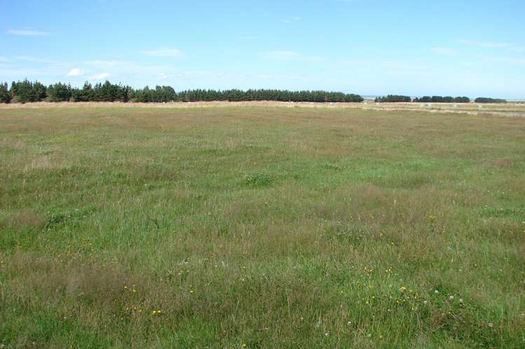 194 Talls Road Gorge Road_11