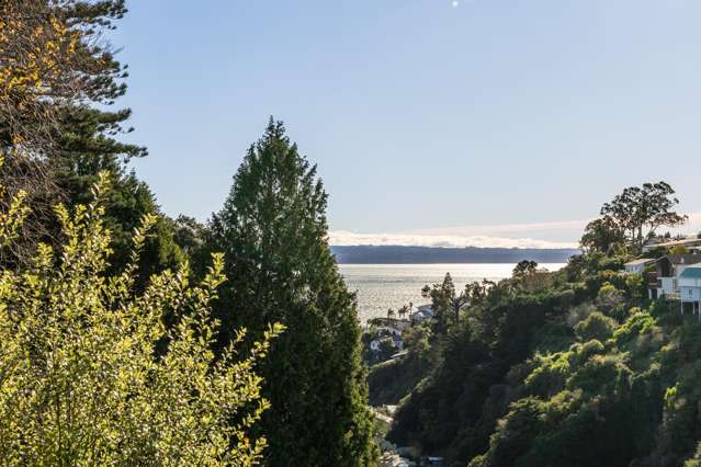 23 Fitzroy Road Bluff Hill_1