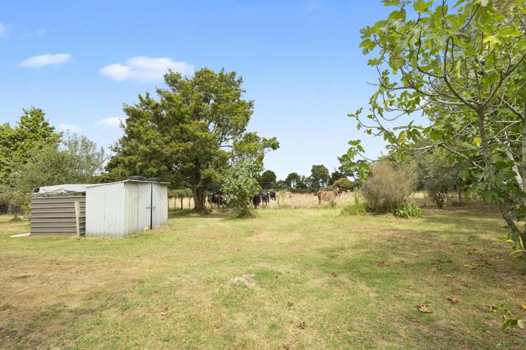 58 Punga Punga Road Pukekawa_16