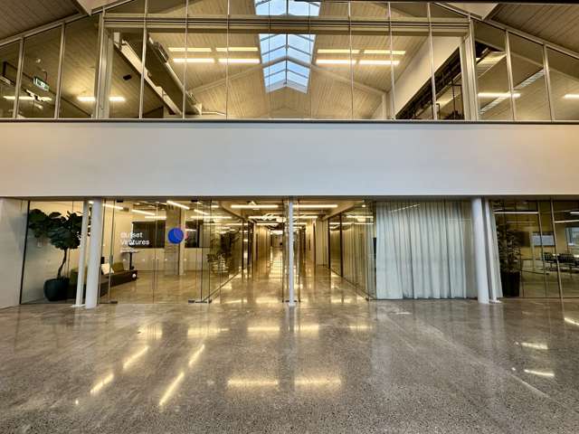 24 Balfour Road Parnell_1