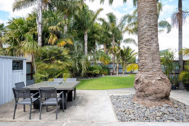 527 State Highway 51 Whakatu_3