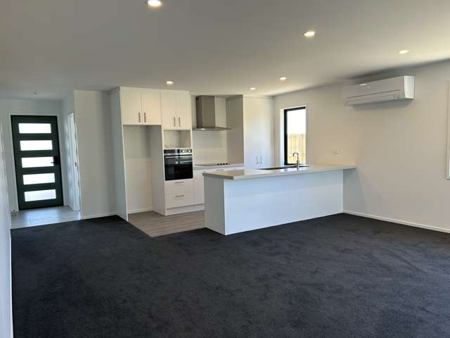 44 Hurley Drive Rolleston_2