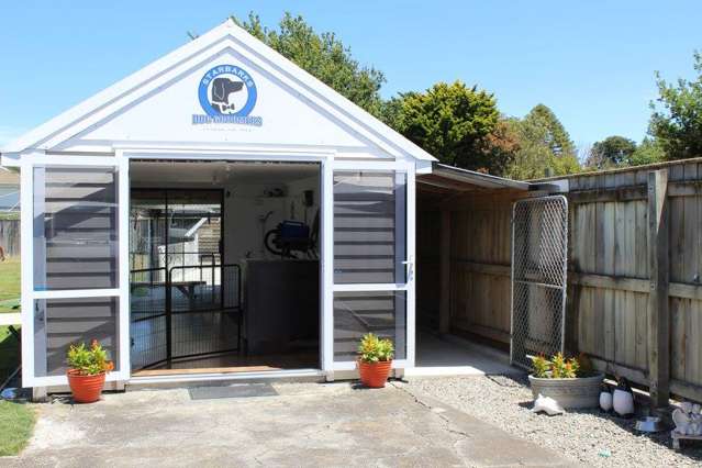 123 Cole Street Masterton_1