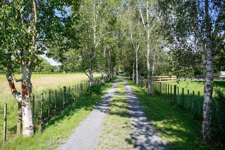 1/31 Forrest Road Cambridge_5