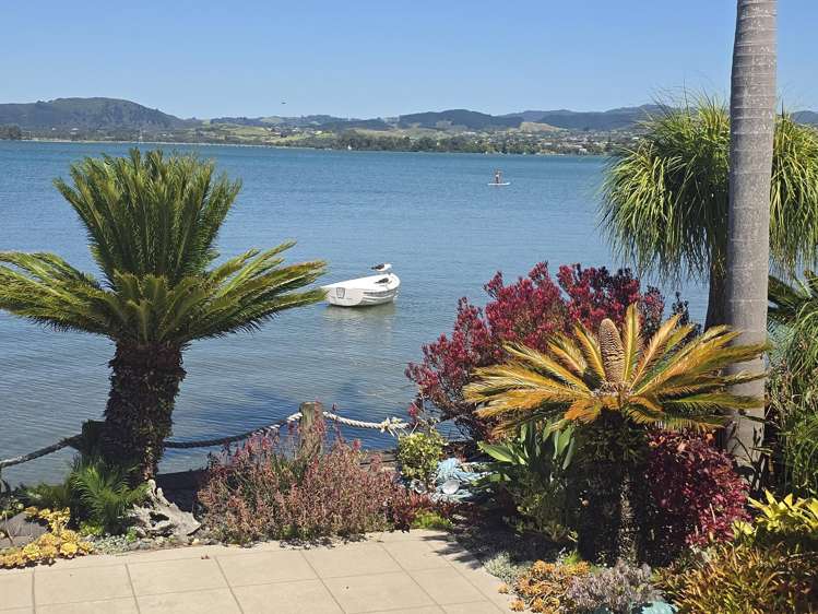 5a Sixth Avenue Avenues_30