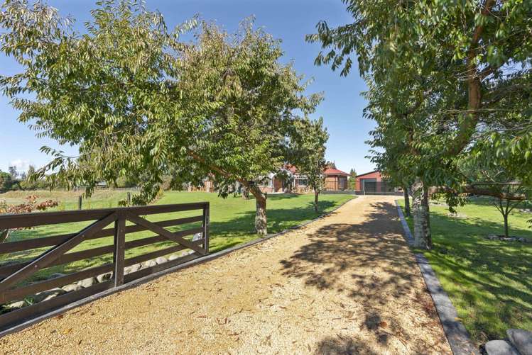 85 North Street Greytown_42