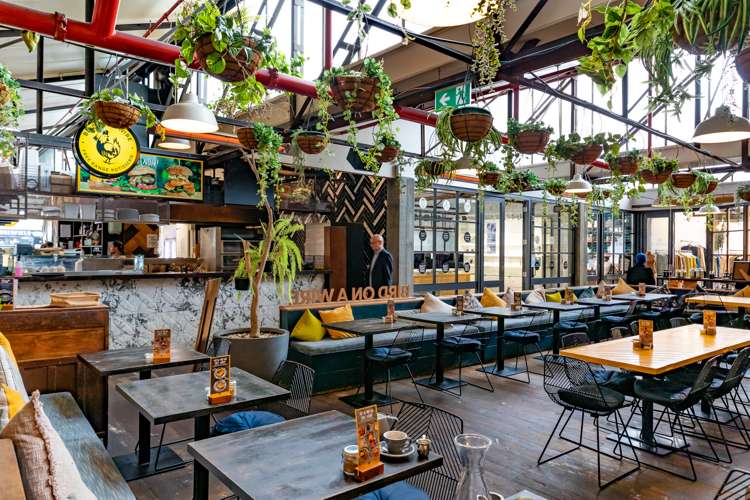 15a Rose Road Grey Lynn_20