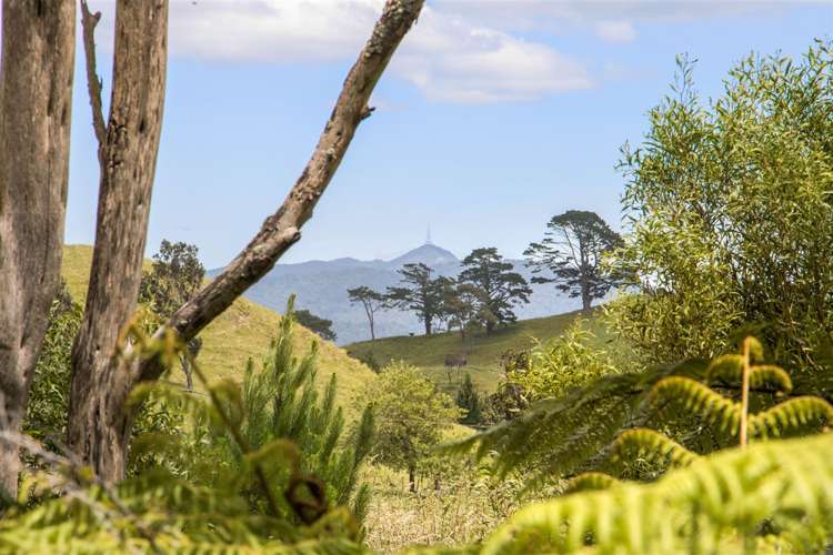 166b Heard Road Waihi_8