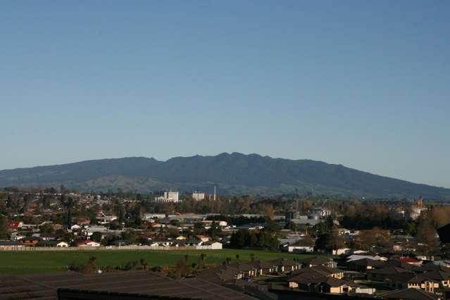 347 Picquet Hill Road Te Awamutu_1