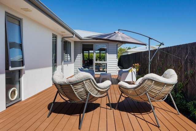 55B Ferguson Street Awapuni_2