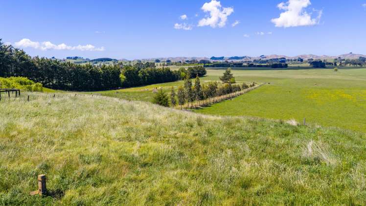 321A Porangahau Road Waipukurau_6