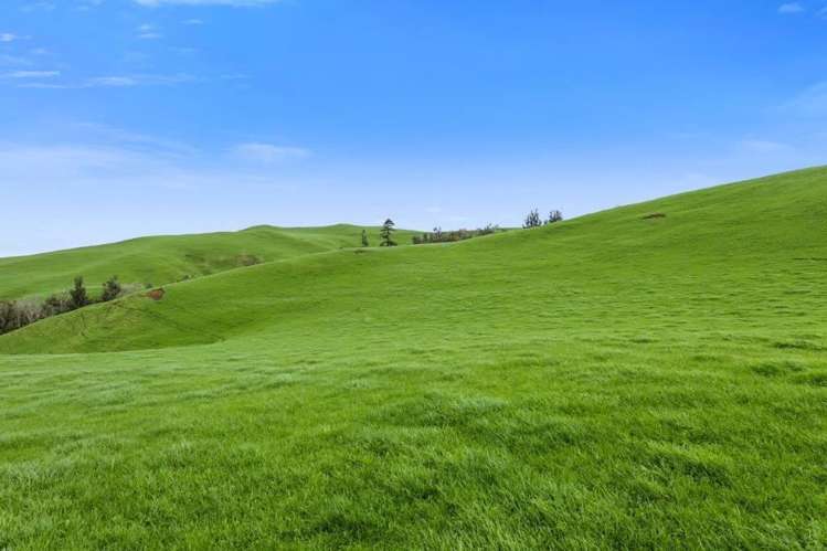 500 Tahuroa Road Tauwhare_22