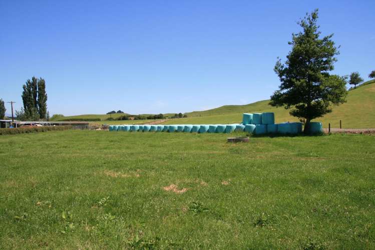 145 Bayly Road Huinga_7