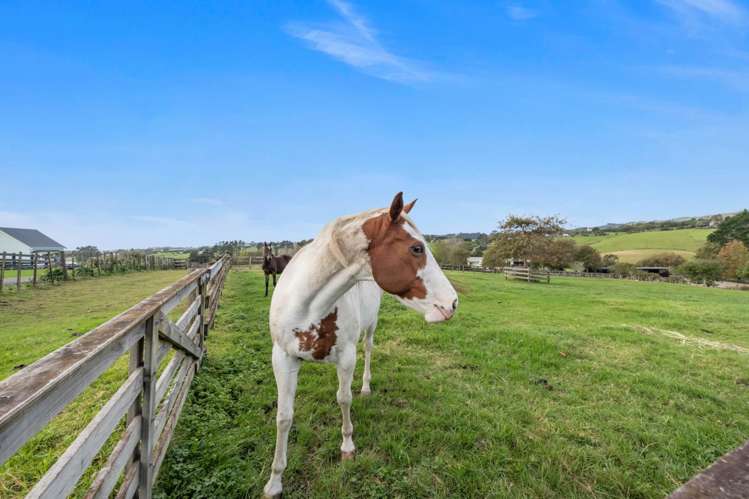 81 Potts Road Whitford_30