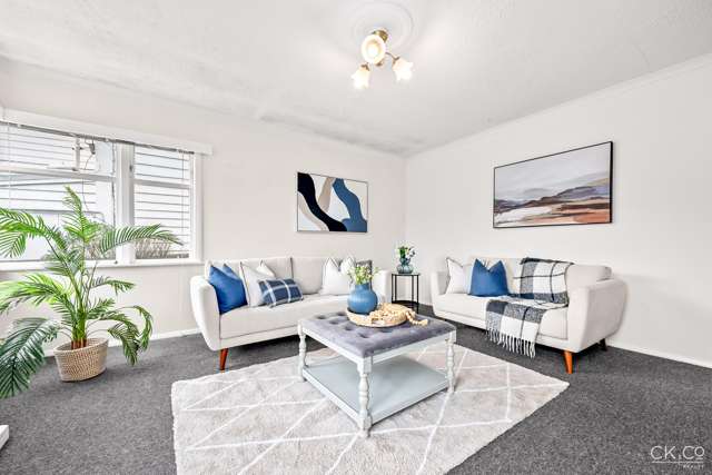 54 Nelson Street Petone_4