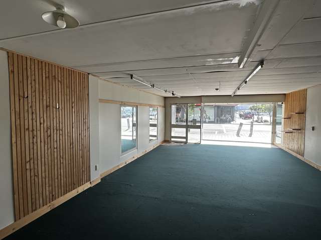 219 King Edward Street South Dunedin_3