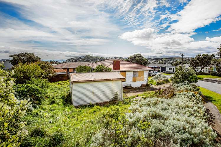 44 Matatiro Street_1