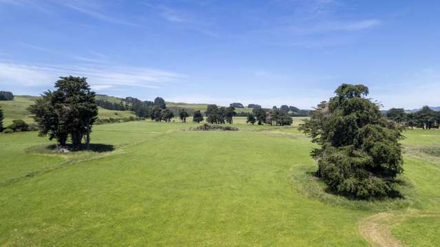 83385 State Highway 2 Eketahuna_3