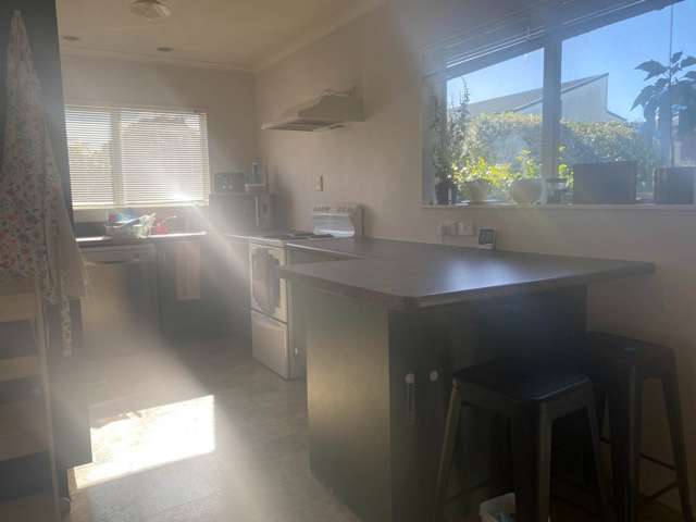 11A Blair Avenue Pukekohe_1