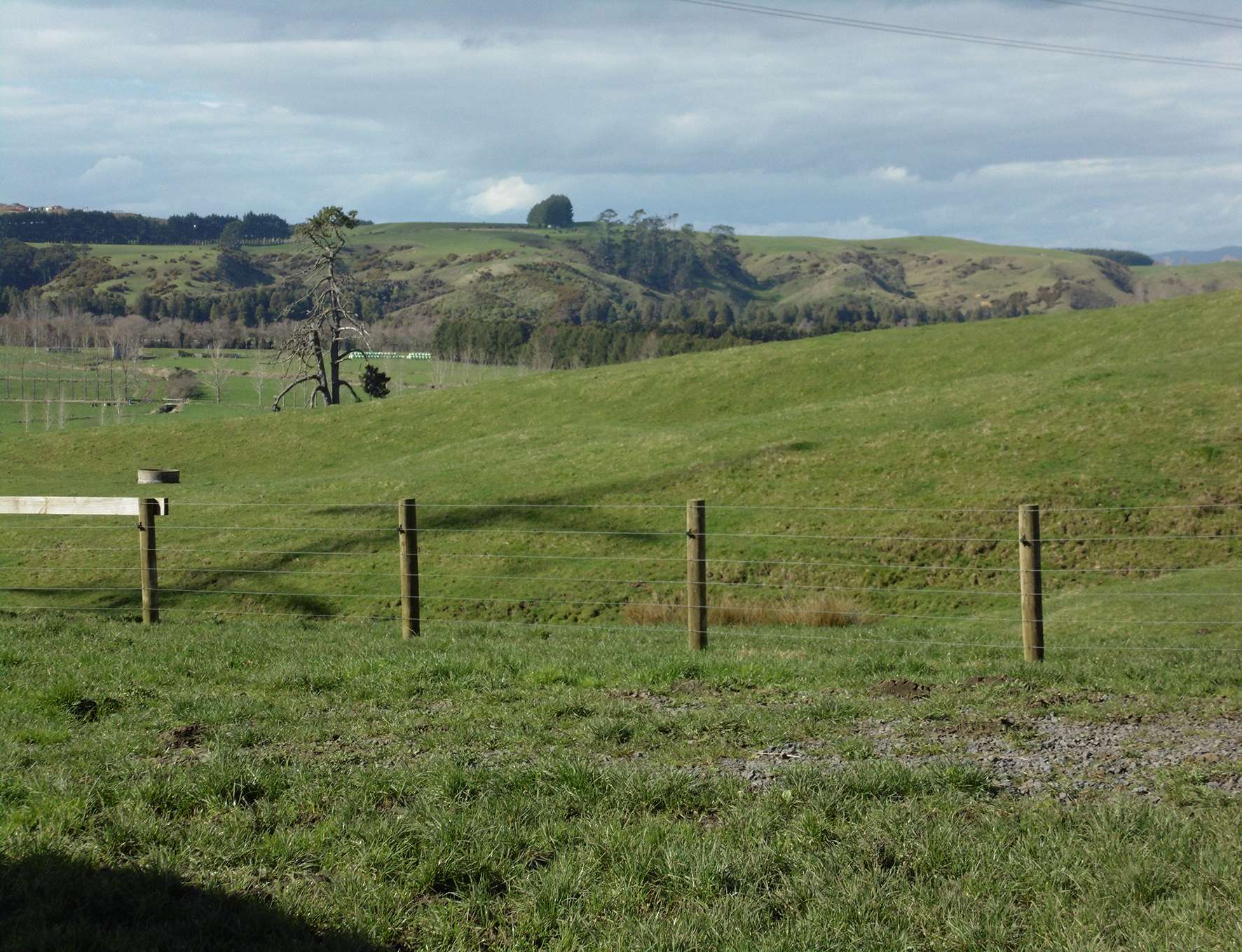  Otuiti Road Pukekawa Franklin Houses for Sale OneRoof