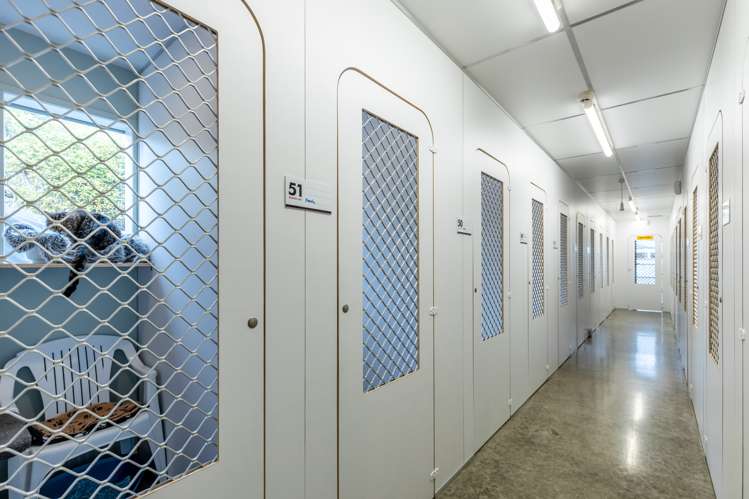 740 Main Road Stoke Stoke_16