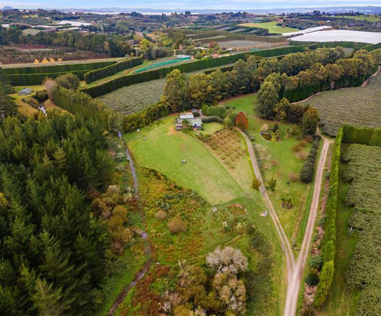 110 Tuapiro Road Hauraki Surrounds_20