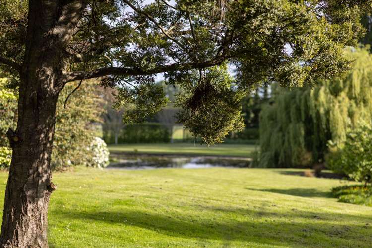 212 Beach Road Elgin_47