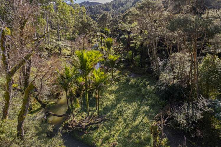 226 Peria Road Peria_16