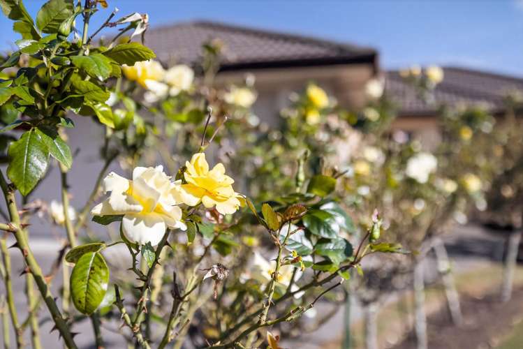 4 McLeod Place Papamoa_24