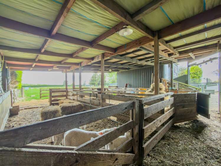 47 McIvor Road Anderson Park_32