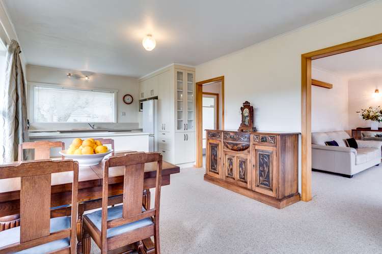 128 Avondale Road Greenmeadows_6