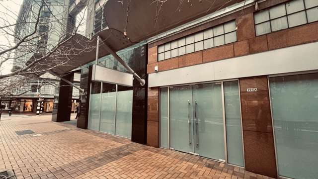 195 Lambton Quay Wellington Central_2