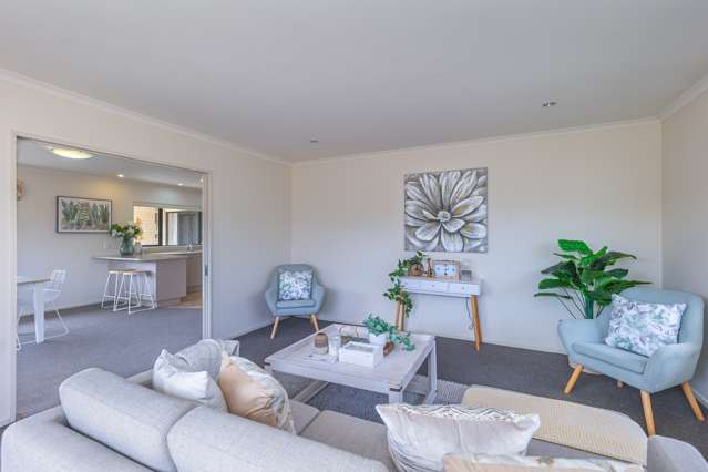 61a Salisbury Street Levin_4