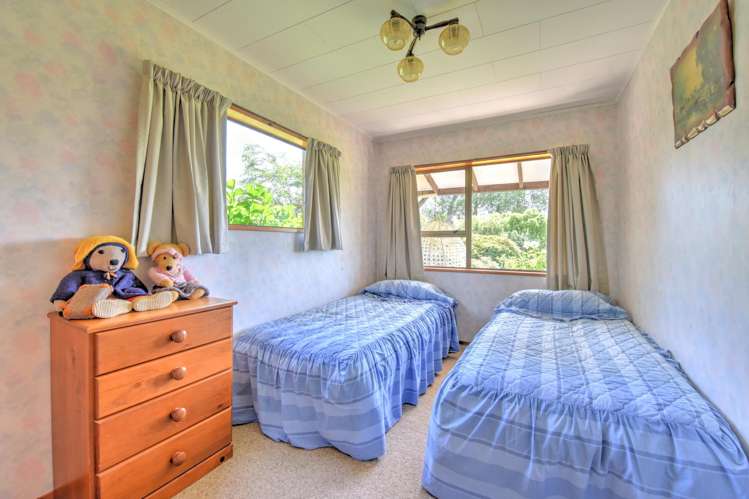 294 Sheddan Road Tapanui_14
