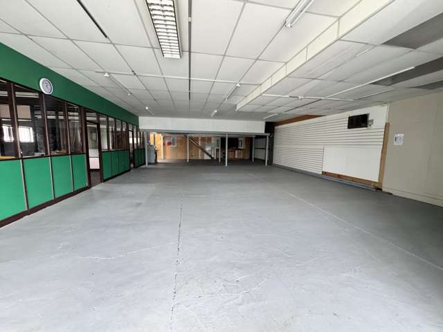 29 Austin Street Onekawa_1