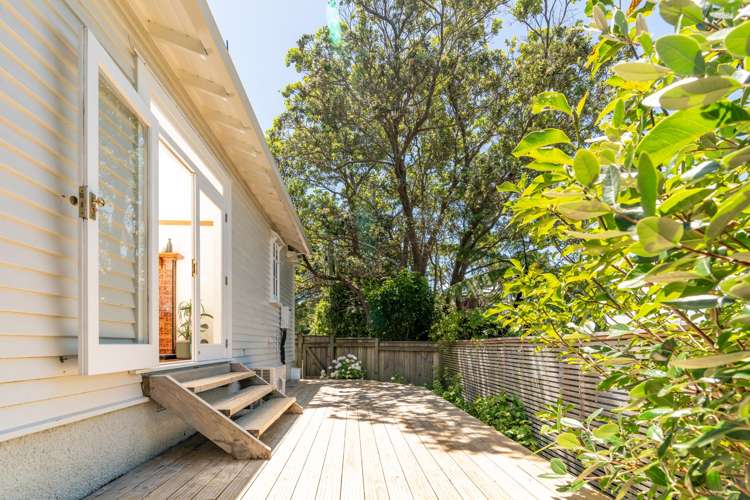 45b Mana Street Vogeltown_10