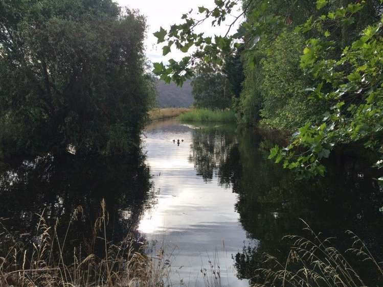 81 Springvale Road Clyde_17