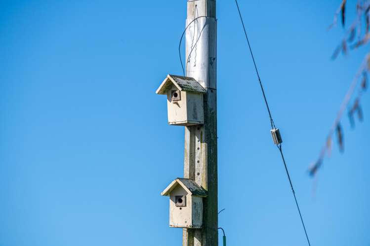 2640 South Head Road South Head_35