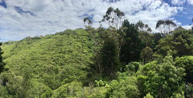 4/114 Mitchell Street Brooklyn_4