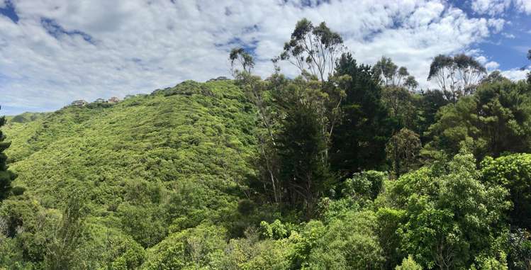 4/114 Mitchell Street Brooklyn_4