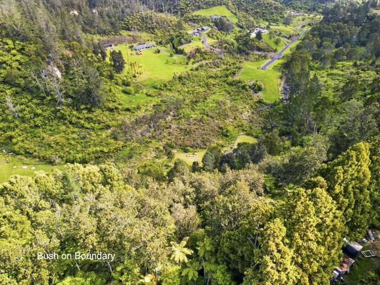 298C Belk Road Omanawa_26