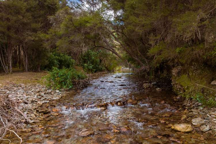 4023 Northbank Road Wairau Valley_33