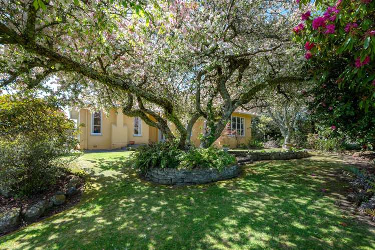 23 Lynmore Avenue Lynmore_19