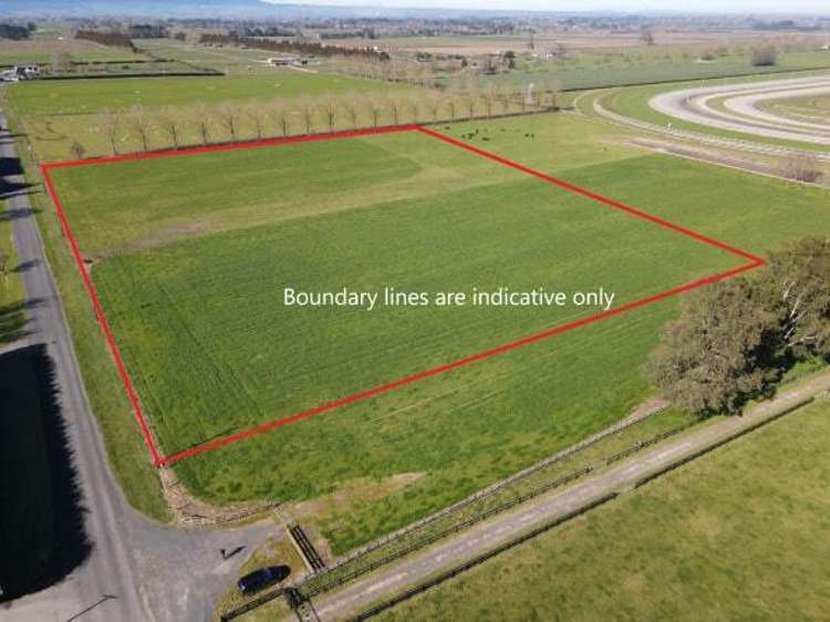 Banks Road Matamata_3