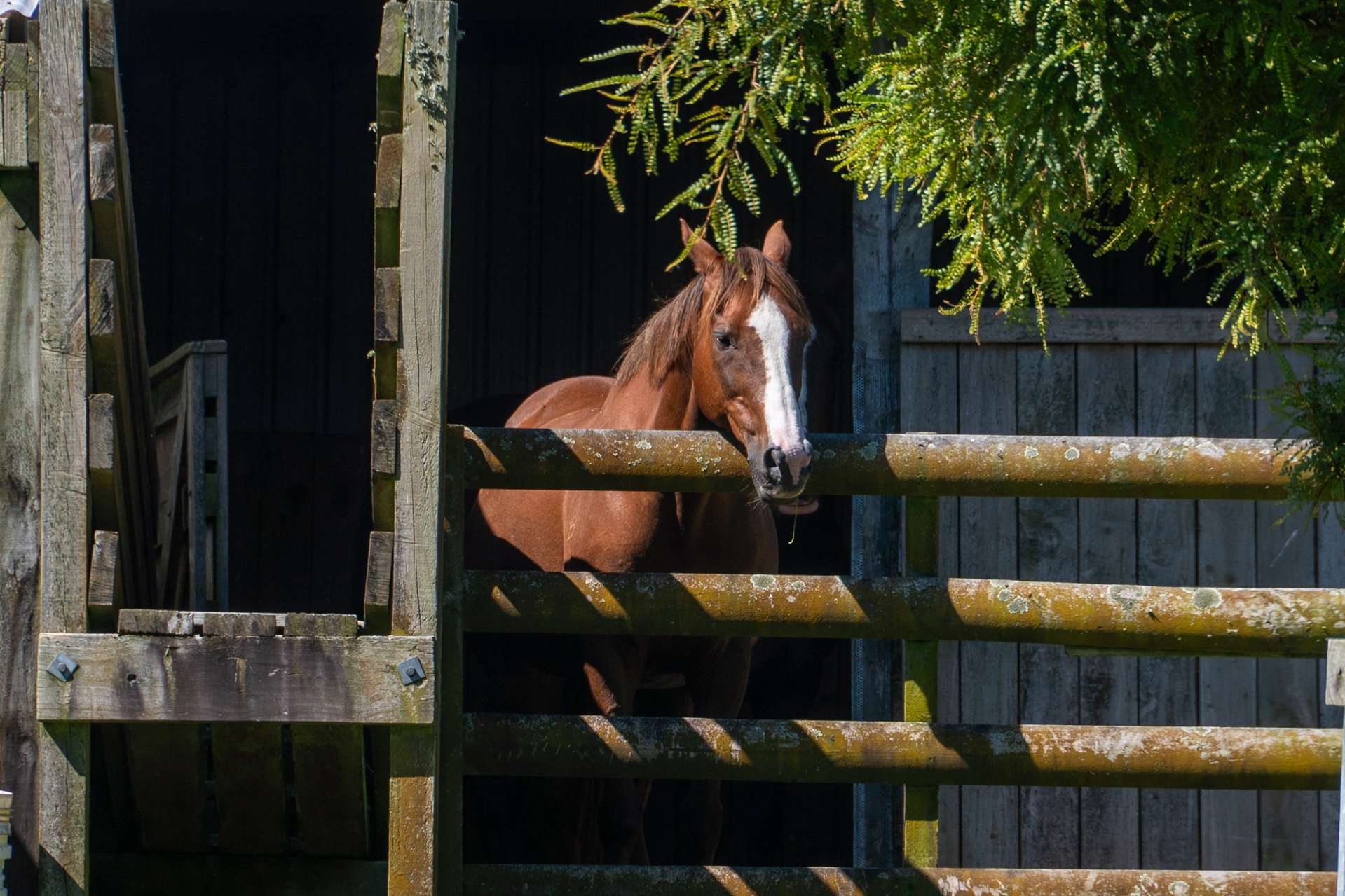 691 Te Waerenga Road Hamurana_0