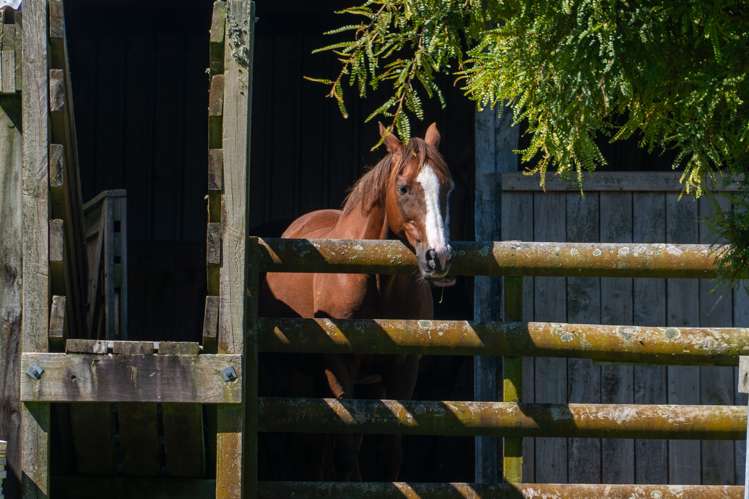 691 Te Waerenga Road Hamurana_0